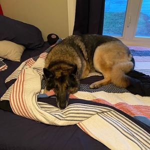 Meet your Posher, Dylan